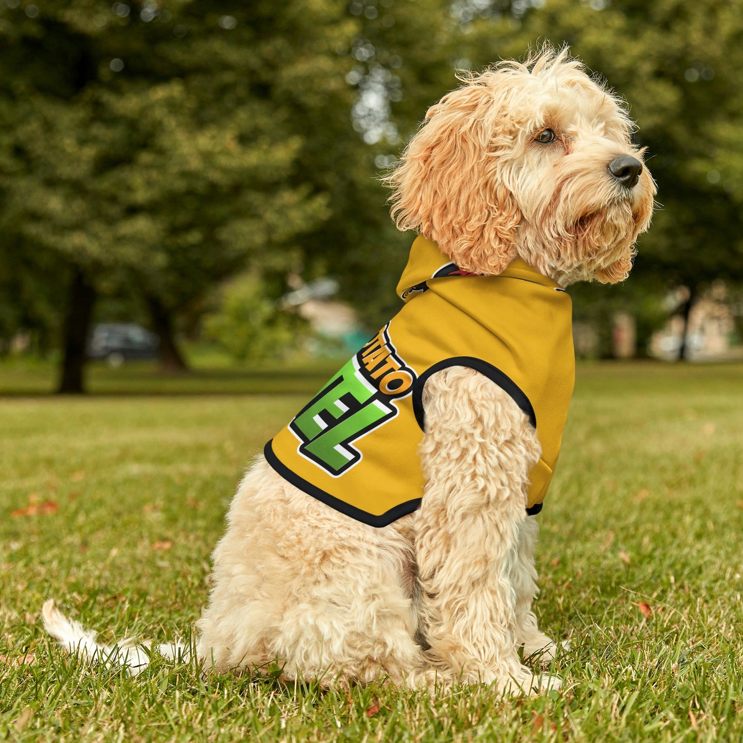 Dog Hoodie