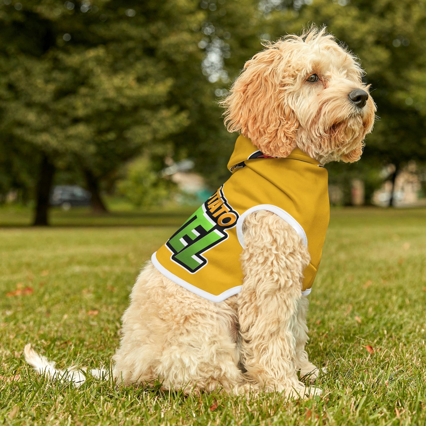 Dog Hoodie